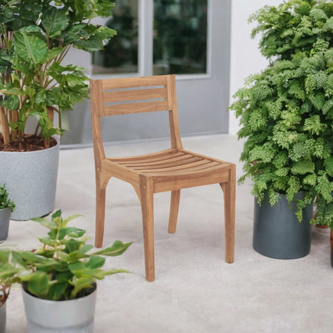 Dining Chairs